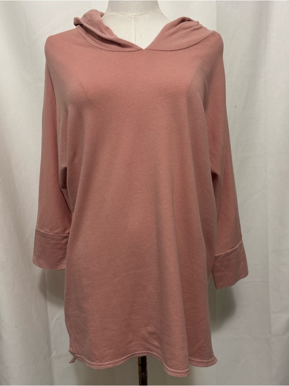 American Eagle Outfitters Soft Pink Hooded Top. Size M. New with Tags.